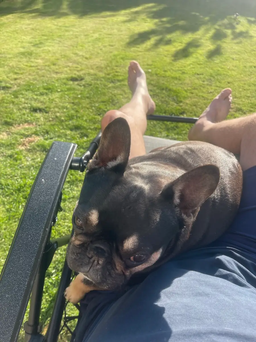 Coco lying in the sun in the garden, resting on Fernando's lap.