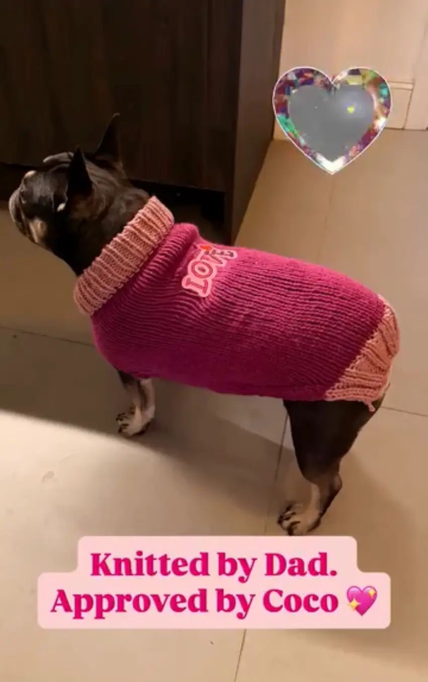 Coco wearing a hand-knitted magenta and pink jumper made by Fernando.